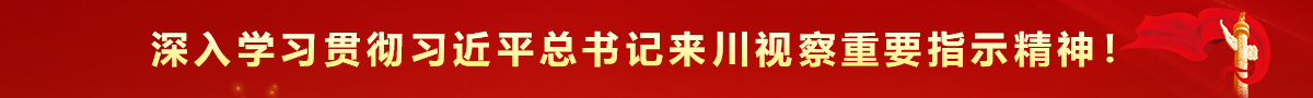 重要指示精神